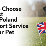 How to Choose the Best UK to Poland Pet Transport Service for Your Pet